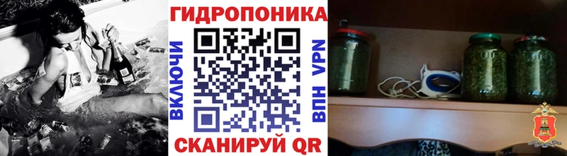 Бошки Шишки сатива  Сегежа 